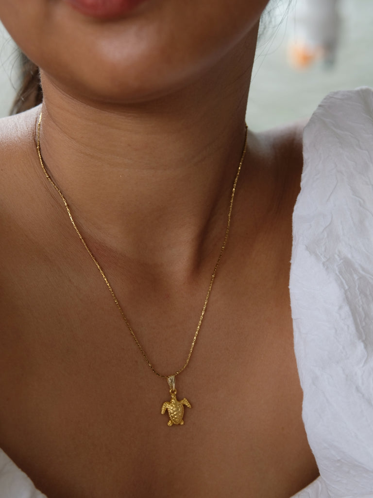 Charms Bar - Turtle