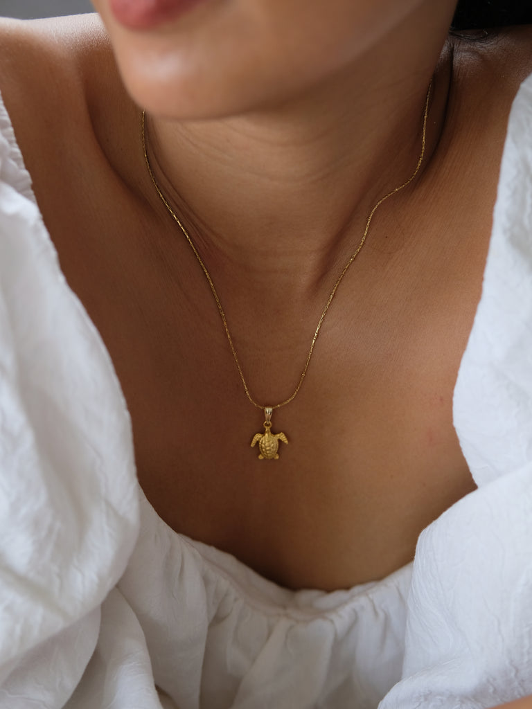 Charms Bar - Turtle