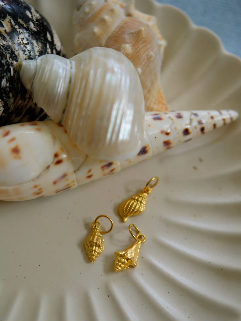 Charms Bar - Conch Shell 1